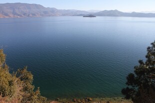 宁静湖水与岸边葱郁树木