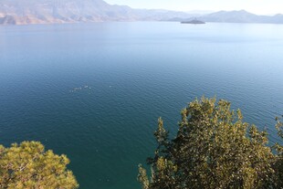 湖畔绿树与辽阔湖水美景