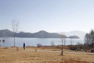 湖畔旷野 一人悠然漫步