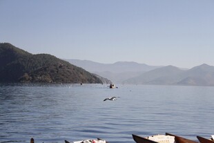 宁静湖畔小船与飞鸟