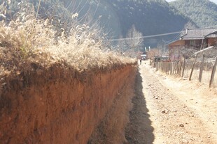 乡村土墙旁的宁静小道