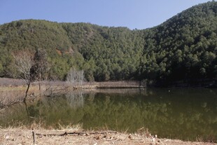 山间静谧湖泊美景