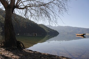 湖畔孤树旁的静谧小船