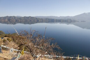 宁静湖畔景色宜人