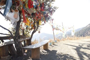 路边祈福树与多彩经幡