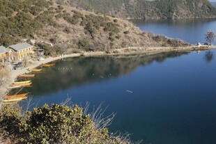 宁静湖畔的自然风光