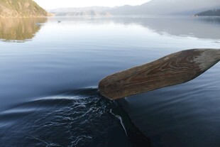 湖面划桨的静谧瞬间