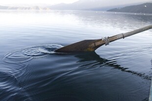 船桨入水泛起层层涟漪
