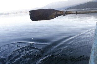 船桨入水泛起层层涟漪