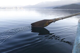 湖面划桨泛起层层涟漪