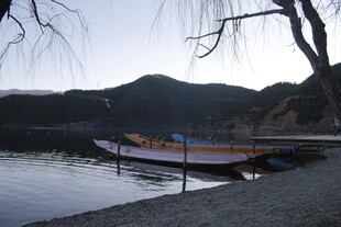 湖畔小船静泊于柳树下