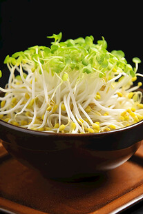 碗中鲜嫩豆芽生机满满