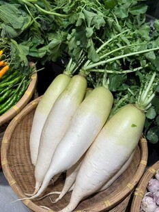 新鲜白萝卜置于竹篮中