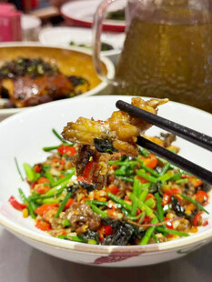 美味多彩辣椒炒肉