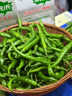 一篮鲜绿的青辣椒