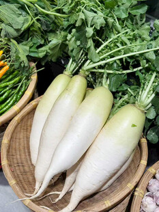 新鲜白萝卜摆放在竹篮中