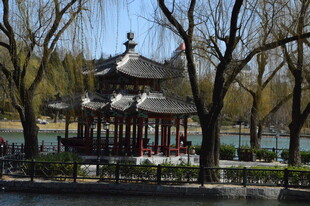 公园风景  