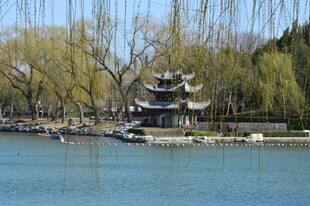 公园风景   