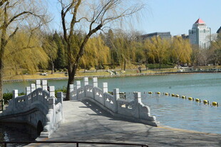 公园风景   