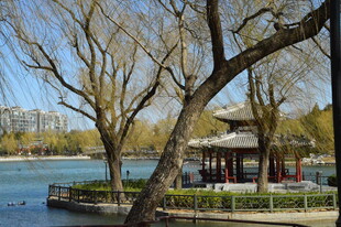公园风景  