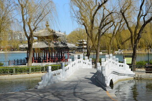 公园风景 
