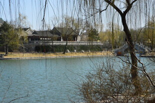 公园风景   