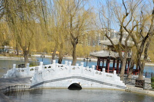 公园风景  