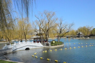 公园风景  