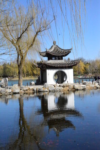 公园风景  
