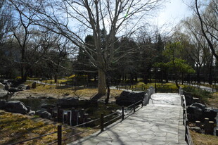 公园风景  