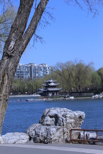 公园风景  