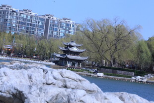 公园风景  