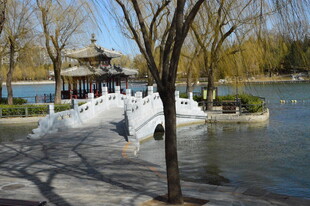 公园风景  