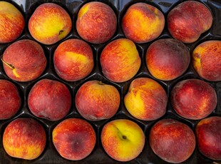 新鲜饱满的水蜜桃整齐排列