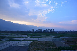 田园风光中的宁静天地