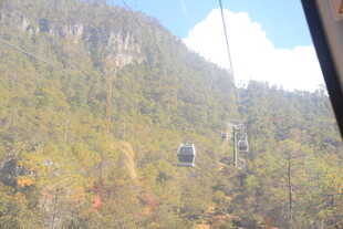 缆车穿梭于山林美景间