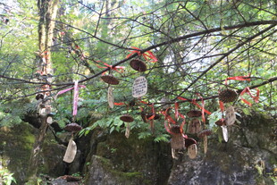 树上挂饰 自然中的多彩点缀