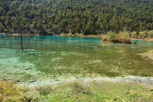 清澈碧绿的山间湖景