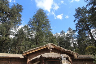 林间木屋 自然静谧之景