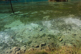 清澈水底的沙石与水草