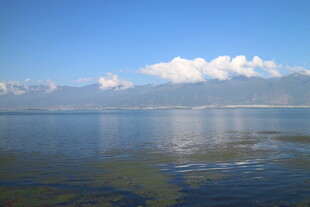 宁静湖景与远处雪山