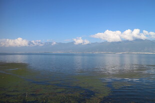 宁静湖面与远处蓝天白云