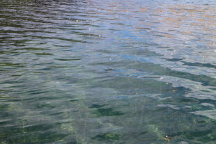 波光粼粼的清澈水面