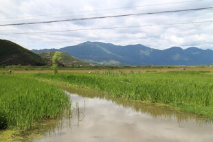 田园水乡风景图