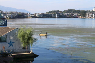 湖畔小船景 悠然水乡情