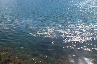 波光粼粼的蓝色水面