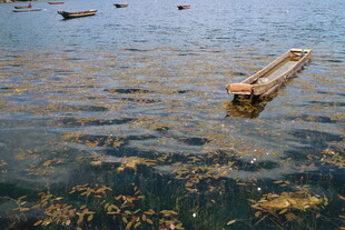 海上漂浮的木质养殖筏架