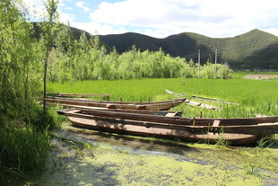 溪边木船与绿野风光