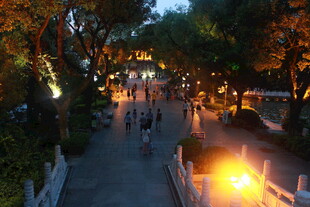 夜晚公园的热闹步道