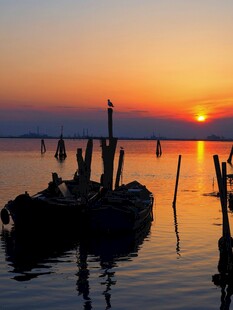 夕阳下的水上木桩与小船